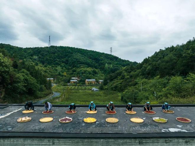 陕西老板全国“包村”建民宿，一晚卖到两三千