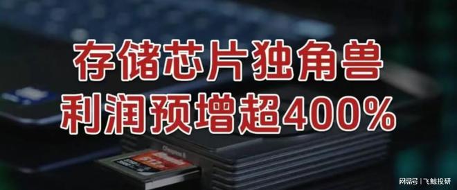 利润预增超400%，存储芯片独角兽，势不可挡！