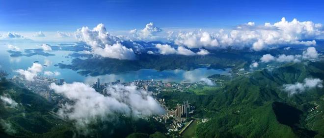 营商观察|从世界级港口到全球服务平台 看深圳盐田如何“一站式”托举企业出海? 营商观察|从世界级港口到全球服务平台 看深圳盐田如何“一站式”托举企业出海?