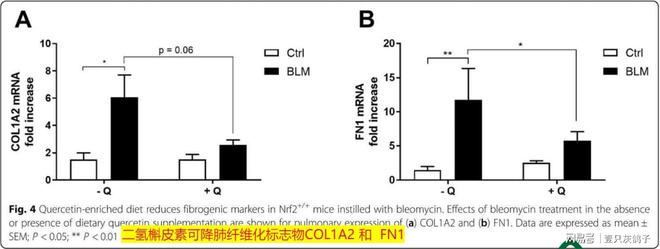 暴降100%，中国不买了！美国大豆滞销，外媒：搬起石头砸自己的脚