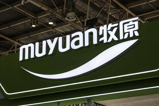 牧原股份港股 IPO：负债、周期、国际化三重博弈