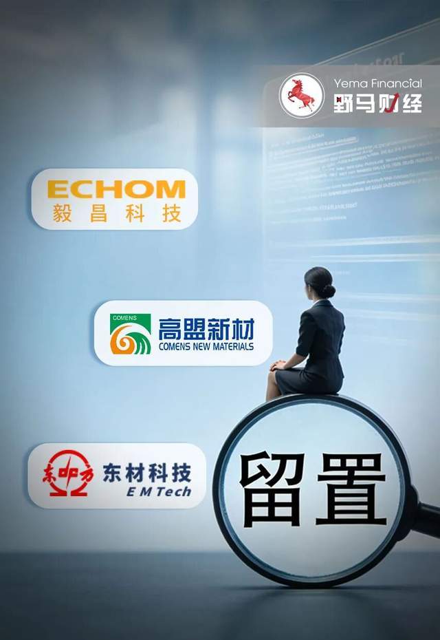 “绵阳女首富”涉嫌犯罪被留置！350亿资本帝国何去何从？