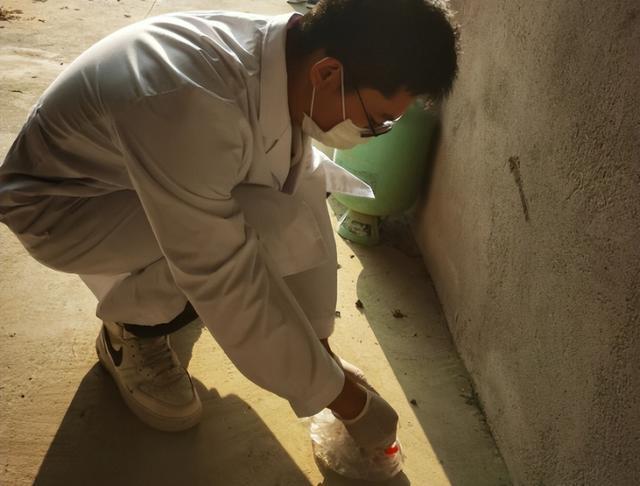 打破贸易壁垒!国产AKK菌反被欧美求购,外媒:中国智造不容小觑 打破贸易壁垒!国产AKK菌反被欧美求购,外媒:中国智造不容小觑