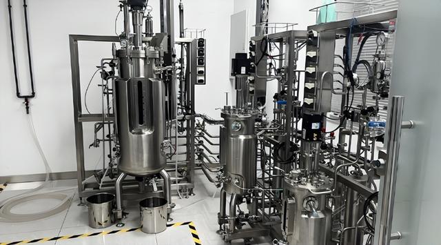 打破贸易壁垒!国产AKK菌反被欧美求购,外媒:中国智造不容小觑 打破贸易壁垒!国产AKK菌反被欧美求购,外媒:中国智造不容小觑