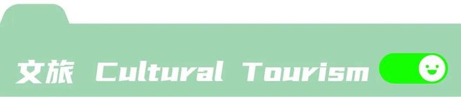 中国将全面禁止隐藏式车门把设计，“再也不用担心打不开新能源汽车了”